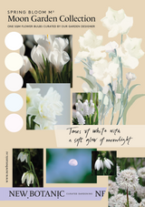 Moon Garden Collection - designad perenn rådjurssäker blomsterlöksrabatt