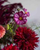 Baroque Flower Collection – designad blomsterrabatt