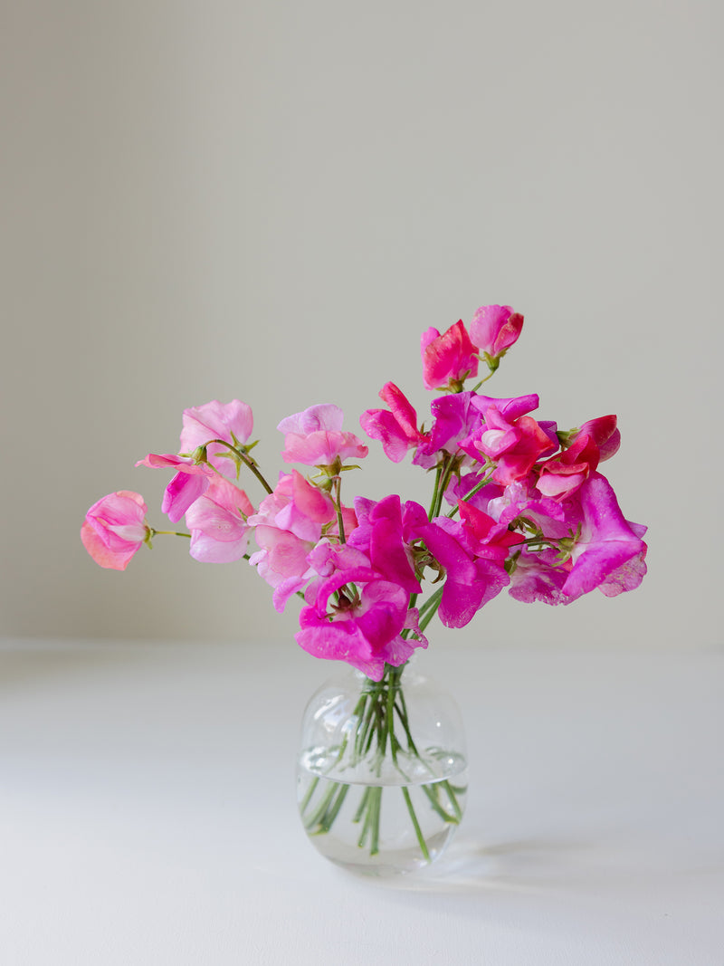 Nyhet! Eau de Fleur Collection - För dig som vill odla doftande blommor