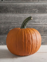 Pumpa 'Jack O'Lantern', Ekologisk - Nyhet!