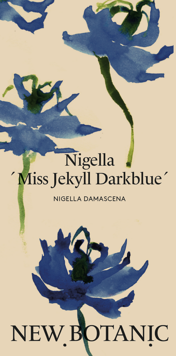 Nigella 'Miss Jekyll Darkblue'  - Nyhet!