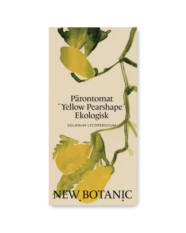Pärontomat ´Yellow Pearshaped´ Ekologisk