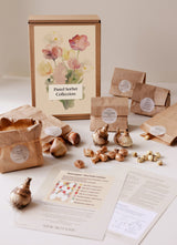 Pastel Sorbet Collection - designad blomsterlöksrabatt