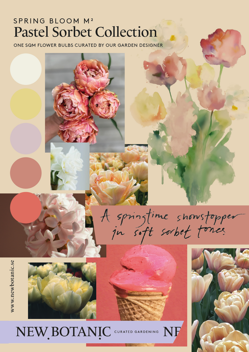 Pastel Sorbet Collection - designad blomsterlöksrabatt