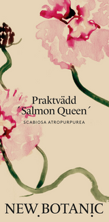 Praktvädd 'Salmon Queen' - Nyhet!