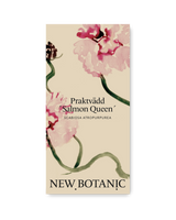 Praktvädd 'Salmon Queen'