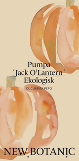 Pumpa 'Jack O'Lantern', Ekologisk - Nyhet!
