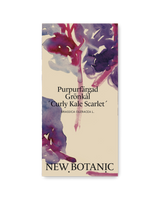 Purpurfärgad grönkål 'Scarlet'