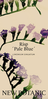 Risp 'Pale Blue' - Nyhet!