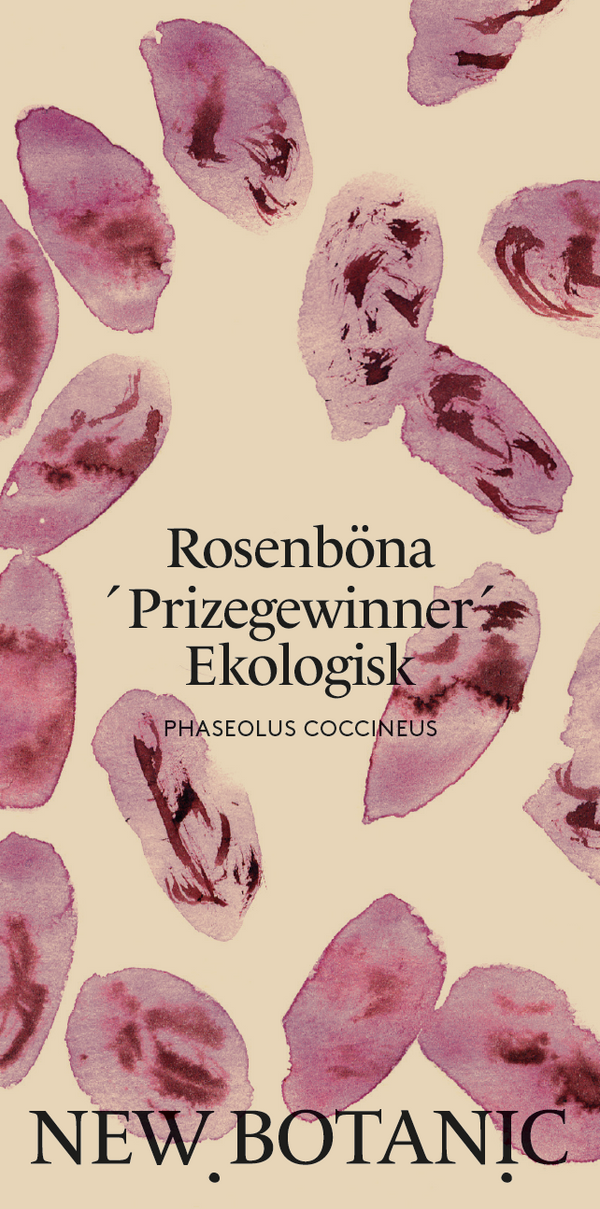 Rosenböna 'Prizegewinner', Ekologisk - Nyhet!