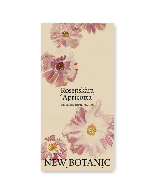 Rosenskära 'Apricotta'