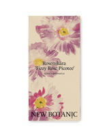 Rosenskära 'Fizzy Rose Picotee' - Nyhet!