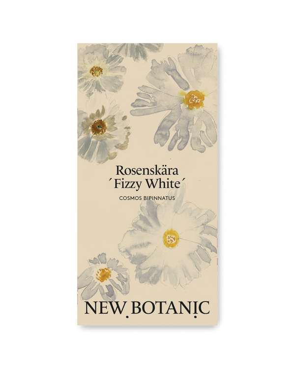 Rosenskära ´Fizzy White´