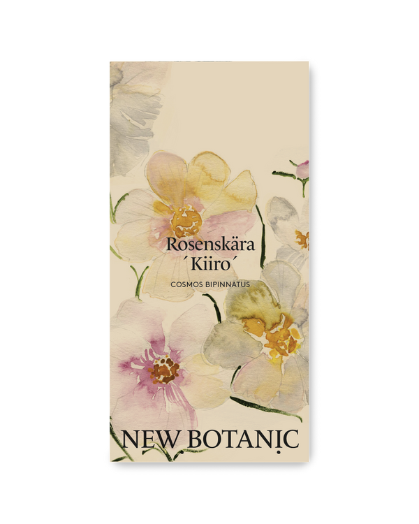 Rosenskära 'Kiiro'