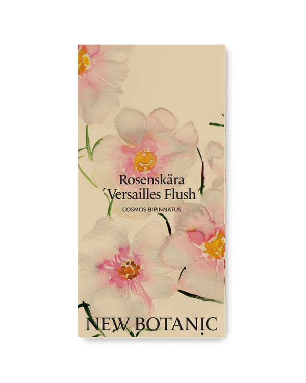 Rosenskära 'Versailles Flush'