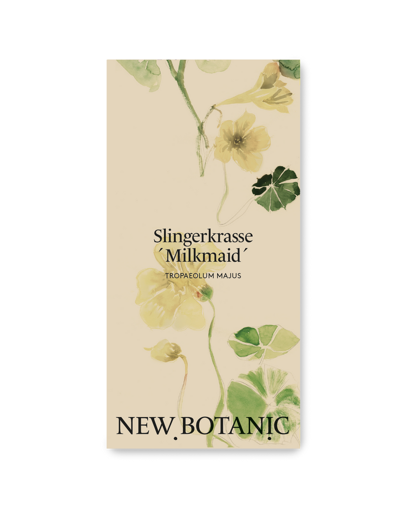 Slingerkrasse 'Milkmaid'