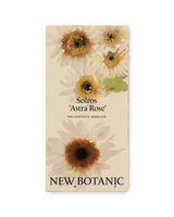 Solros 'Astra Rose' - Nyhet!