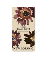 Solros 'Procut Red' F1 - Nyhet!