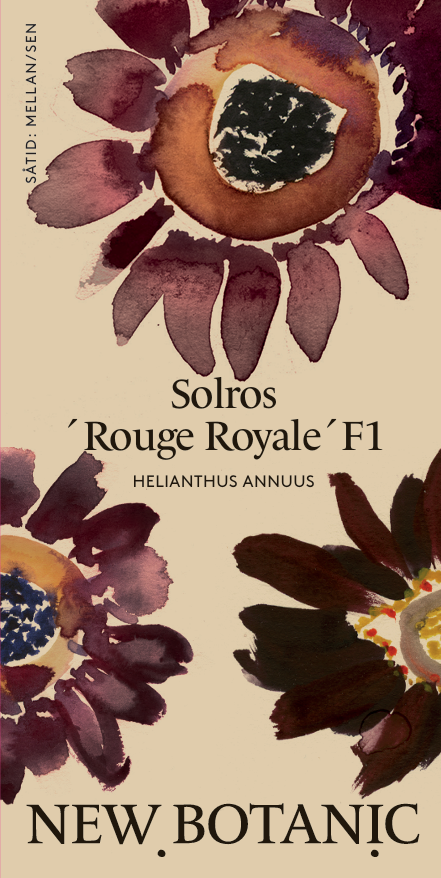 Solros 'Rouge Royal' F1