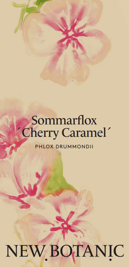 Sommarflox 'Cherry Caramel' - Nyhet!