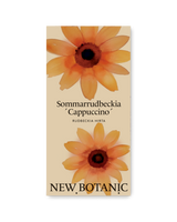 Summer Rudbeckia 'Cappuccino' 