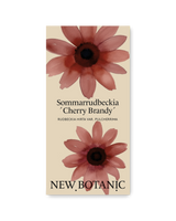 Sommarrudbeckia 'Cherry Brandy'