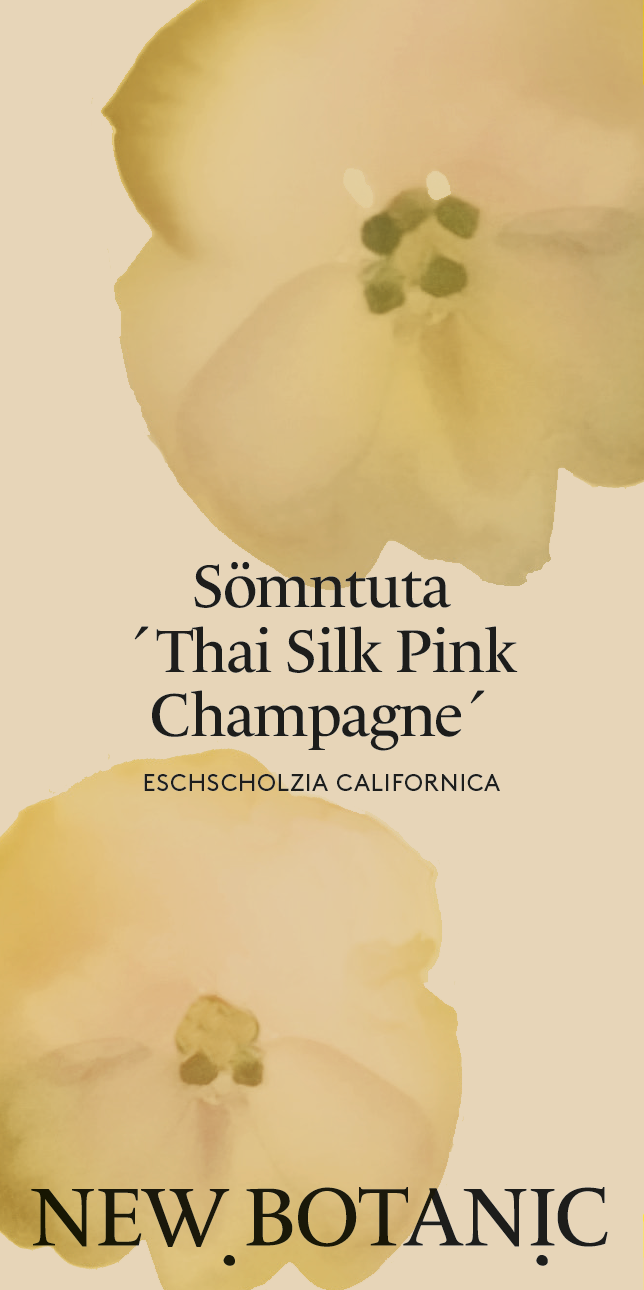 Sömntuta 'Thai Silk Pink Champagne' - Nyhet!