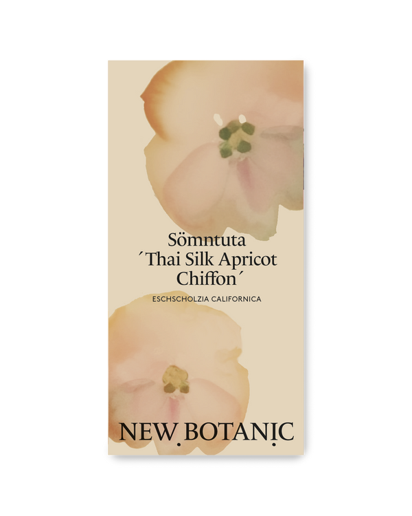 Sömntuta 'Thai Silk Apricot'