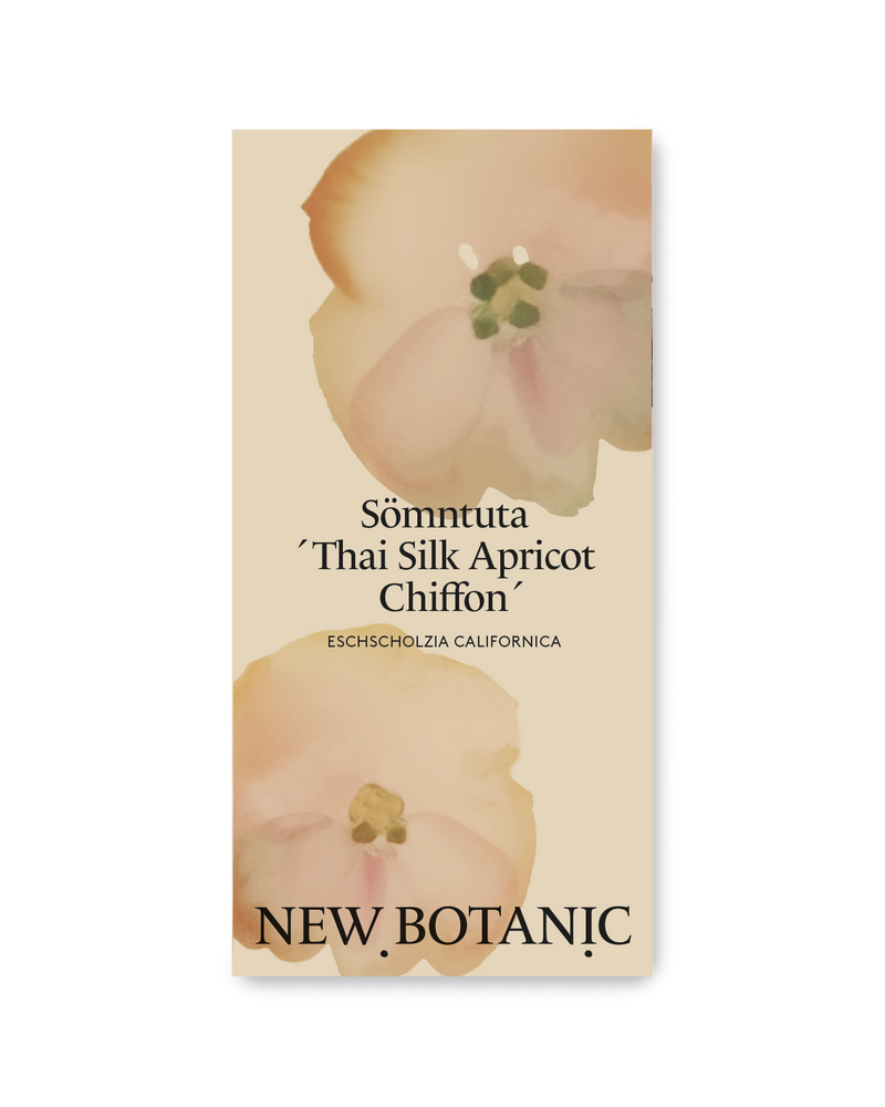 Sömntuta 'Thai Silk Apricot'