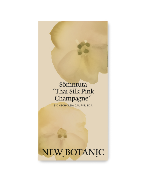 Sömntuta 'Thai Silk Pink Champagne'