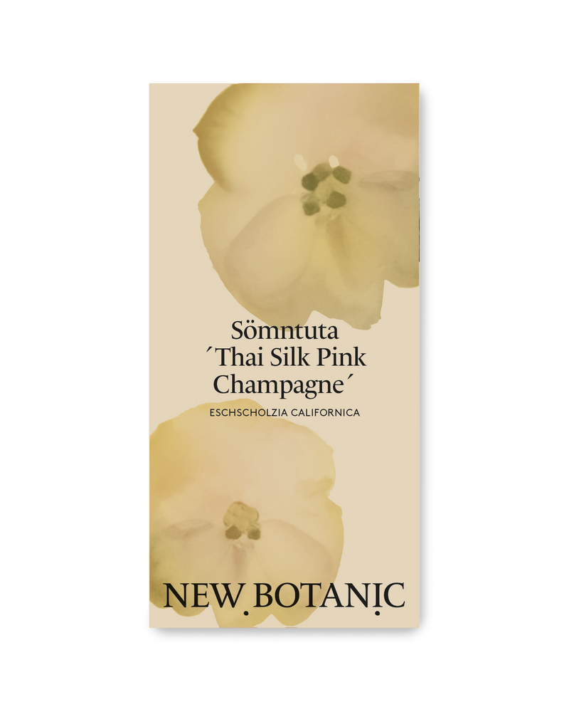 Sömntuta 'Thai Silk Pink Champagne'