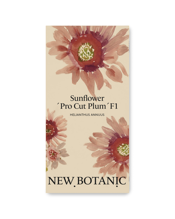 Solros 'Pro Cut Plum' F1