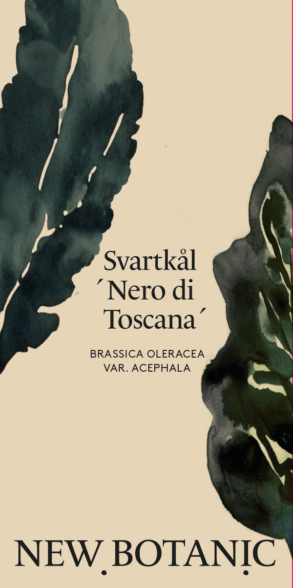 Svartkål 'Nero di Toscana' - Nyhet!