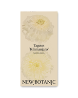 Tagetes 'Kilimanjaro'