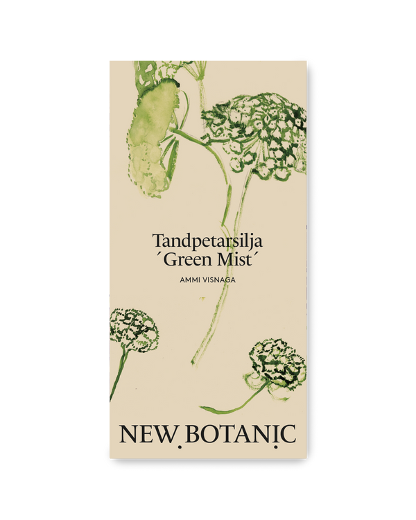 Tandpetarsilja ´Green Mist´