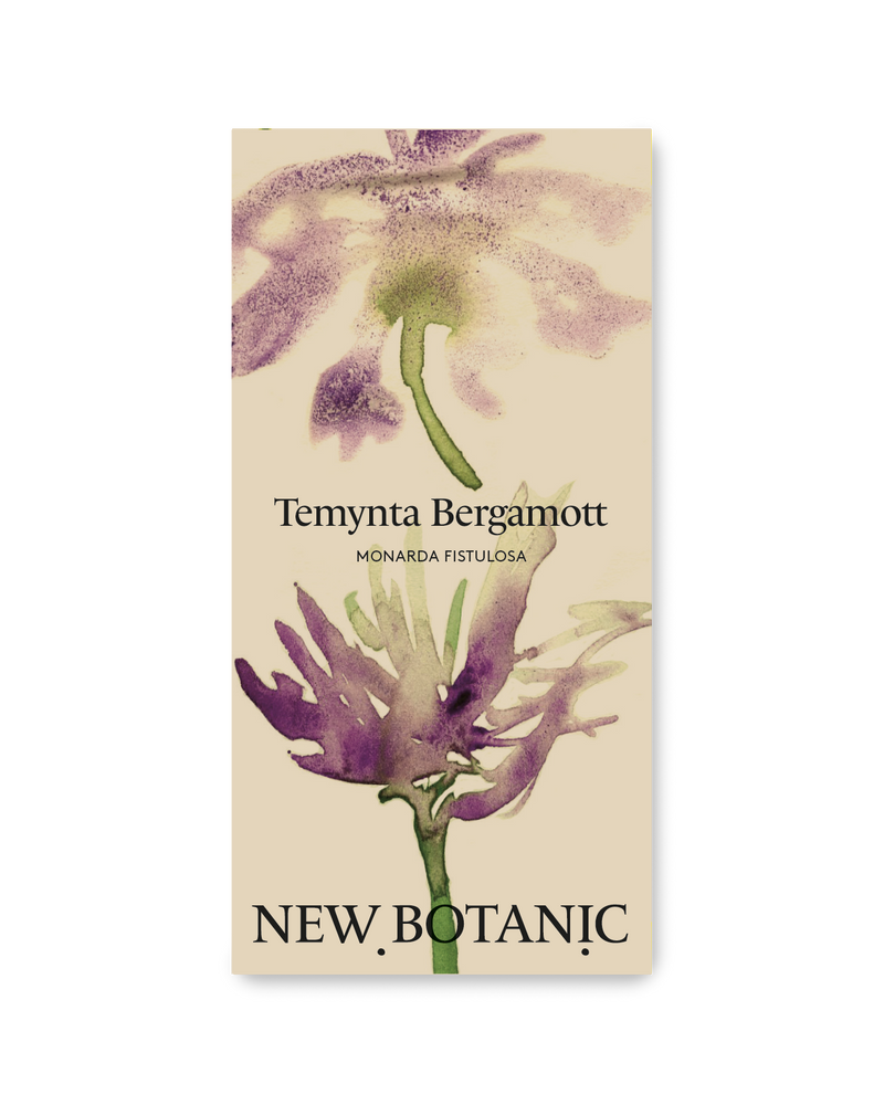 Temynta 'Bergamot'