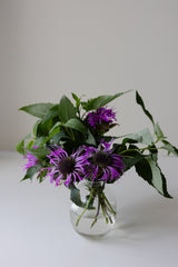 Temynta 'Bergamot' - Nyhet!