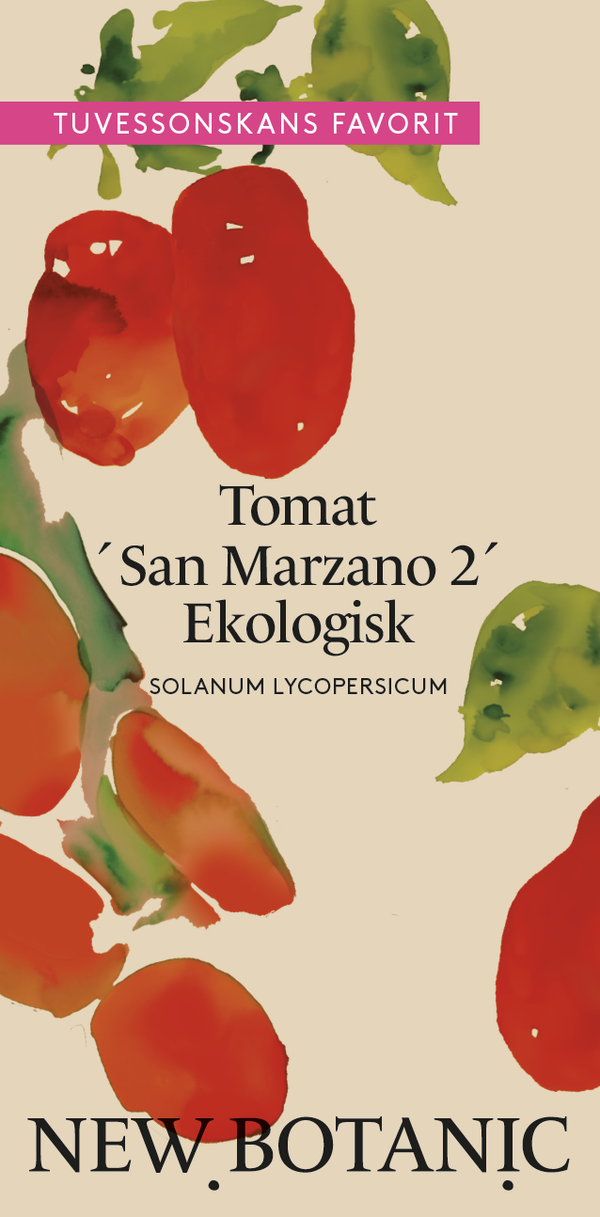 Tomat 'San Marzano 2', Ekologisk - Nyhet!