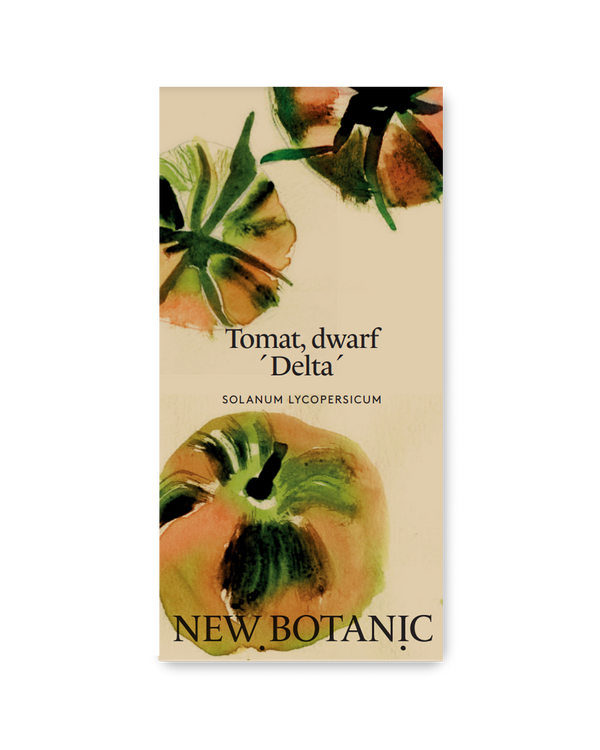 Tomat 'Delta' Dwarf