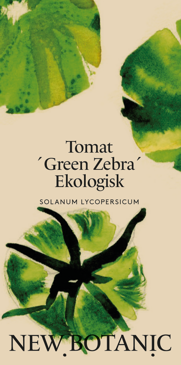 Tomat 'Green Zebra' Ekologisk - Nyhet!