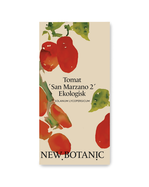 Tomat 'San Marzano 2', Ekologisk