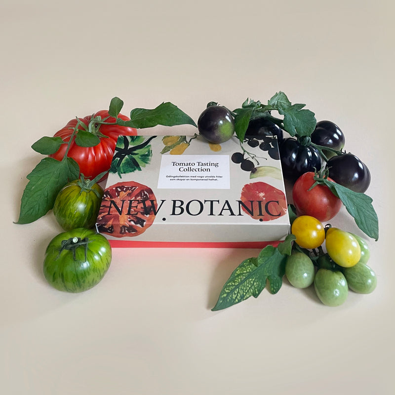 Tomato Tasting Collection - För den matlagningsintresserade