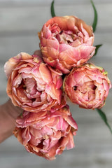Pastel Sorbet Collection - designad blomsterlöksrabatt