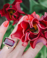 Passionate Collection - Nyhet!