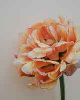 Majestic Collection - Nyhet!