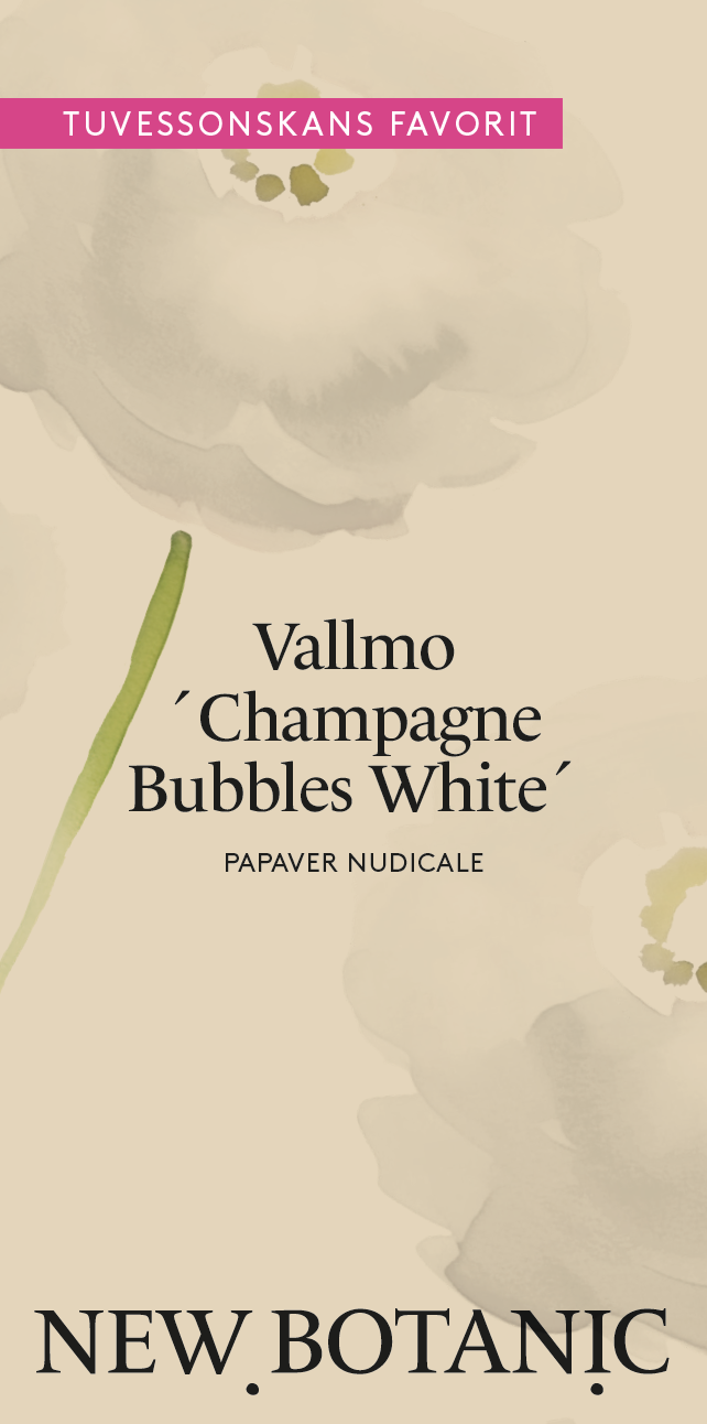 Vallmo 'Champagne Bubbles White' - Nyhet!