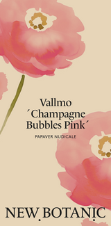 Vallmo 'Champagne Bubbles Pink' - Nyhet!