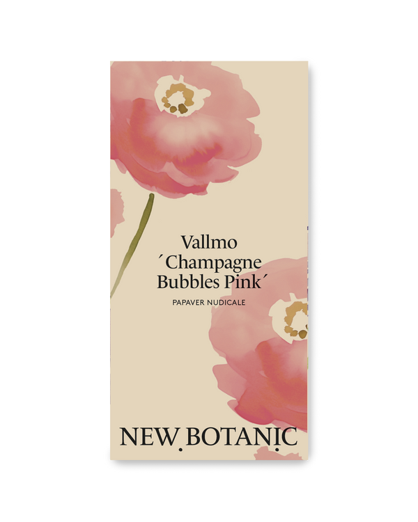 Vallmo 'Champagne Bubbles Pink'
