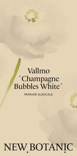 Vallmo 'Champagne Bubbles White' - Nyhet!