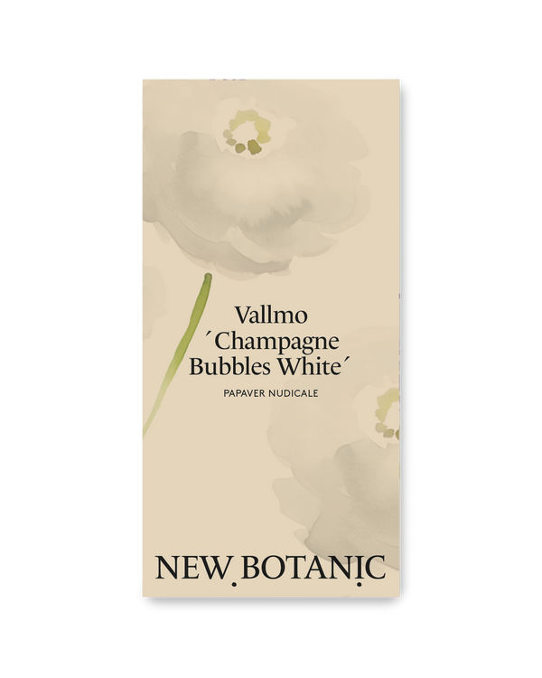 Vallmo 'Champagne Bubbles White'